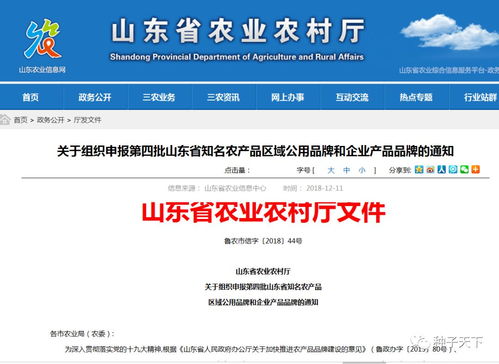 山東啟動省級知名農產品品牌申報競賽，推動農業品牌化發展