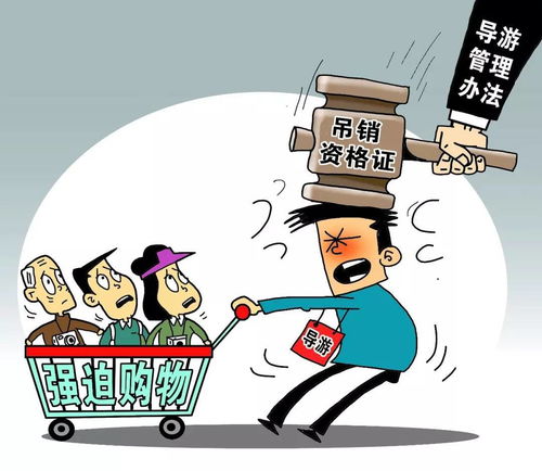 2018年1月1日起，黃石人生活質(zhì)量提升新規(guī)與上海網(wǎng)絡(luò)技術(shù)轉(zhuǎn)讓的聯(lián)動(dòng)影響
